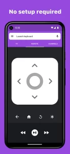 Roku remote